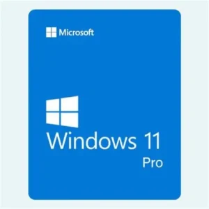 Windows 11 Pro [KEY]